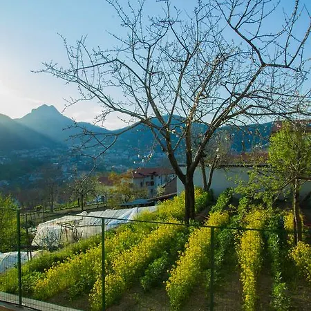 Πανσιόν Da Zia Adele