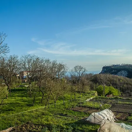 Da Zia Adele Πανσιόν