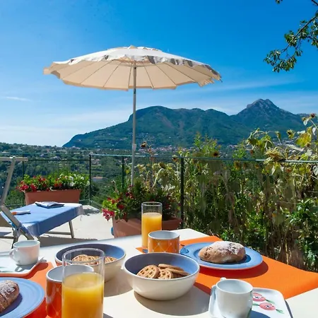 Da Zia Adele אג'רולה